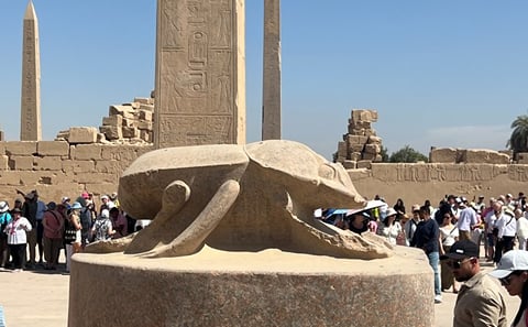 Private Luxor and Karnak Temple Half-Day Tour