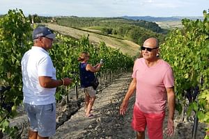 Dine in the Vineyards - Ultimate Dinner in a Tuscan Vineyard with the Wine Maker