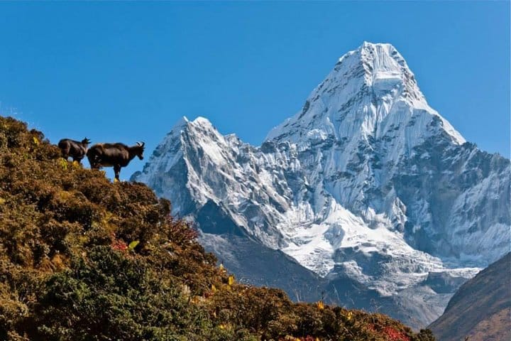 19 Days Mera Peak Climbing & Expedition – One Life-Changing Himalayan Adventure