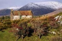 Haunted Bog Road Tour. Galway. Private guided.	 7