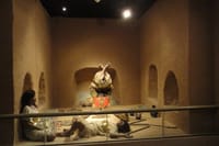 Pomac Forest Historic Sanctuary & Sican Museum in Chiclayo 7