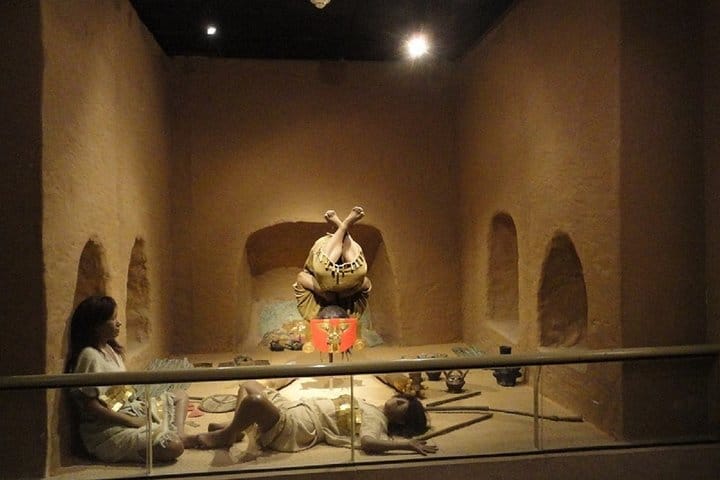 Pomac Forest Historic Sanctuary & Sican Museum in Chiclayo 7