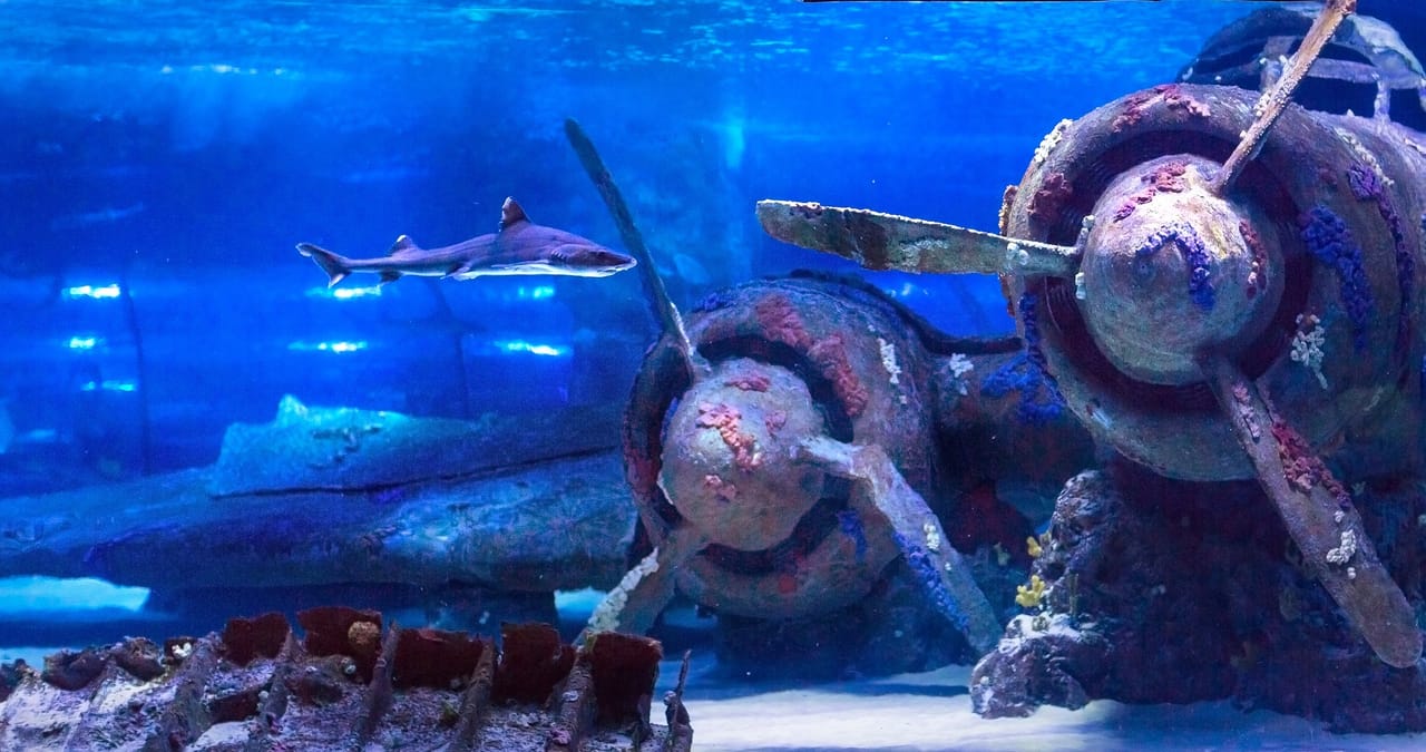 Antalya: Aquarium, Wax Museum & Combo Package Options 4