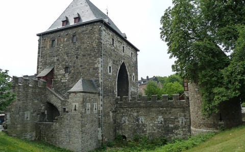 Guided Tour of Aachen's Historic Old Town Landmarks