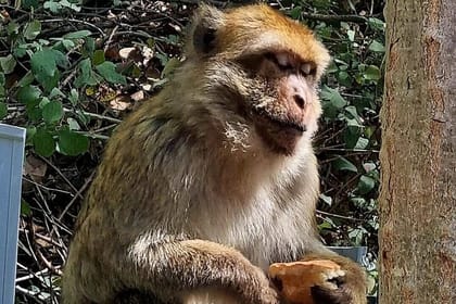 Marrakech: Ourika Valley Villages & Waterfalls Private Day Trip