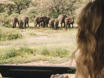 2 Days Safari to Tarangire National Park, Ngorongoro Crater and Snake Park