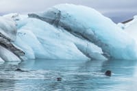 Jökulsárlón Glacier Lagoon Private tour 3