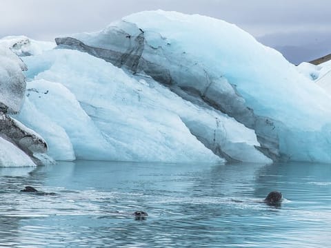Jökulsárlón Glacier Lagoon Private tour, photo 4