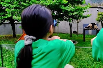 Panda Volunteer Experience at Dujiangyan from Chengdu