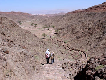 Camping and Archaeological Exploration in Serabit, Egypt