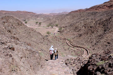 Camping and Archaeological Exploration in Serabit, Egypt