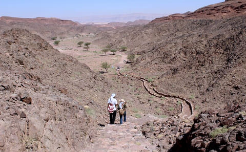 Camping and Archaeological Exploration in Serabit, Egypt