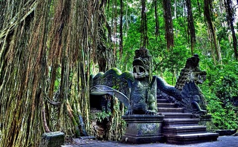 Ubud Adventure Tour: ATV Ride and Rafting Experience