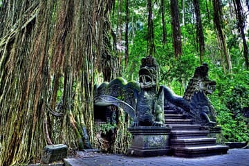 Ubud Adventure Tour: ATV Ride and Rafting Experience