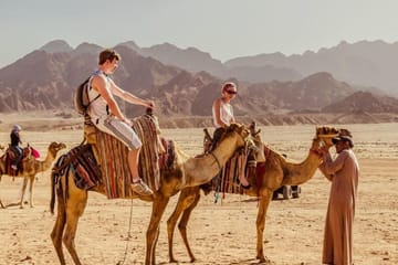 Desert Buggy Ride and Camel Experience in Sharm El Sheikh