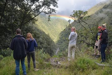 4-Day Jungle Adventure in Manu National Park from Cusco
