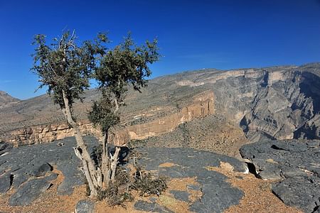 Explore Nizwa and Jabal Shams: Oman’s Historical Treasures and Stunning Canyon