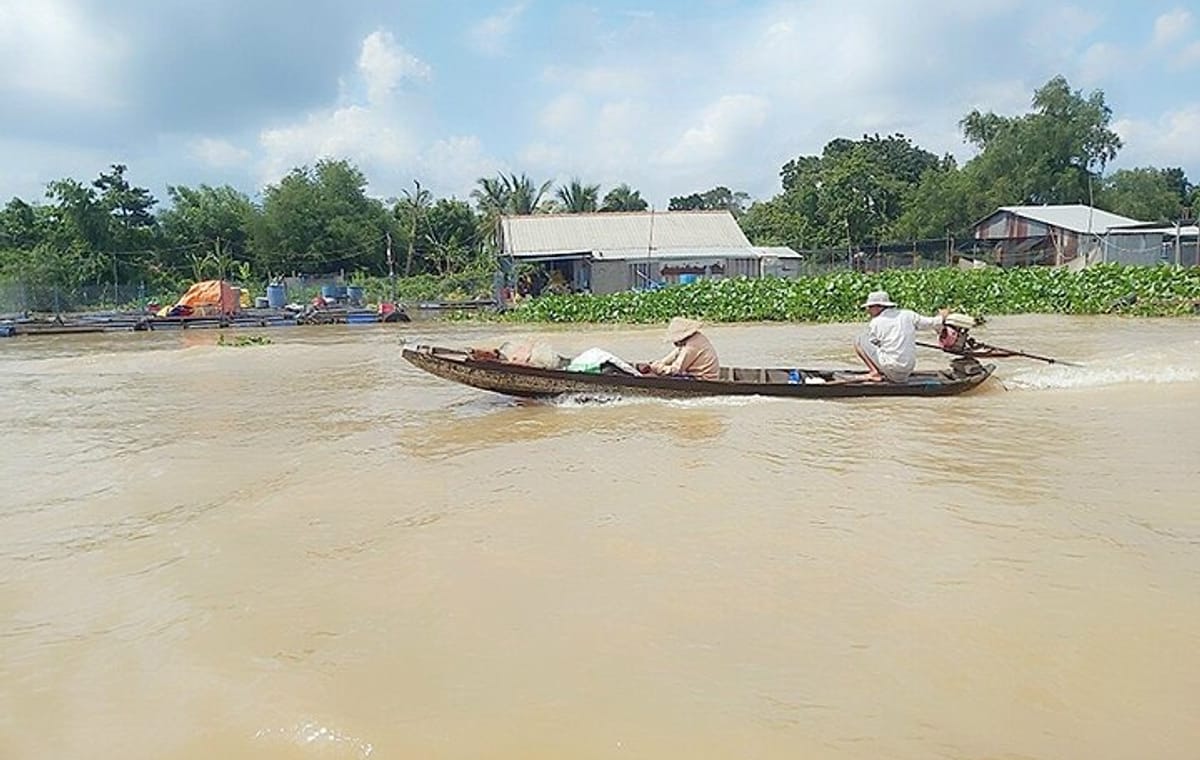 Full-Day with Lunch & Pick up to Cu Chi Tunnels and Mekong Delta