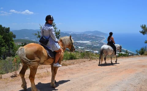 Horseback Riding Tour in Çamyuva, Kemer with Transfers