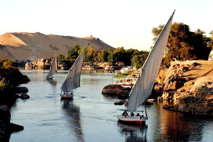 Aswan: The Iconic Botanical Garden & Felucca Ride on the Nile  Private Tour