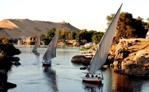 Felucca Ride and Botanical Garden Tour in Aswan