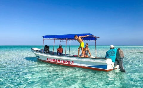 Zanzibar: Half-day Snorkeling Experience at Mnemba Coral Gardens