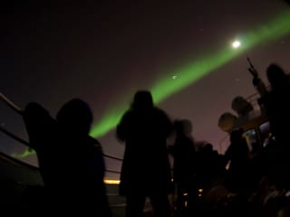 Reykjavík Whales & Northern Lights, photo 12