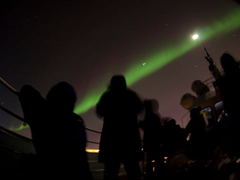 Reykjavík Whales & Northern Lights, photo 12