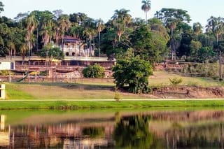 Coffee Farm Sao Paulo In Countryside – The Rural Charms of Brazil – Private