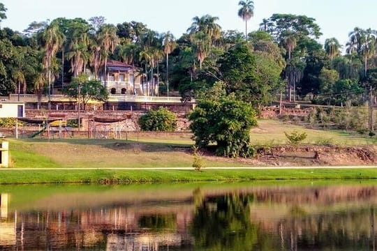 Coffee Farm Sao Paulo In Countryside – The Rural Charms of Brazil – Private