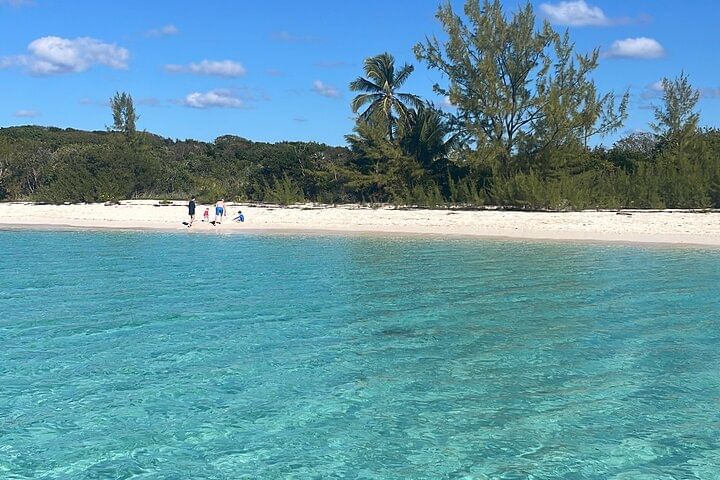 Private Pink Sand Beach Tour: Swim With Pigs, Turtles & Stingrays