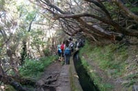 Levada do Rabaçal / 25 Fontesl