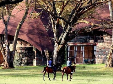 8-Day Private Family Safari Adventure in Nairobi, Kenya