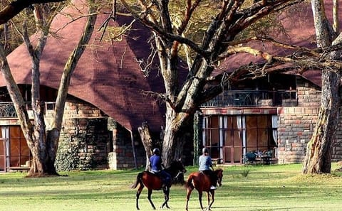 8-Day Private Family Safari Adventure in Nairobi, Kenya
