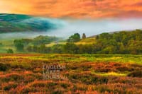 Pennine Moors