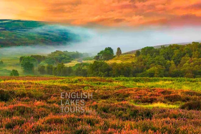 Pennine Moors
