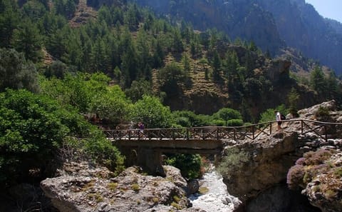 Hiking Adventure in Samaria Gorge from Chania