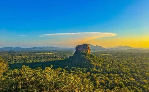 Sigiriya and Dambulla Cave Temple Day Tour from Colombo