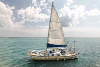 Zanzibar Private Full Day Catamaran to Mnemba Atoll Open Bar 10