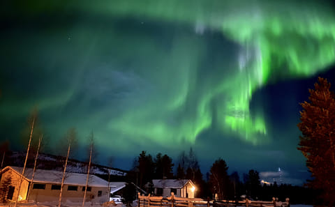 Aurora Walking Tour at Lucky Ranch in Kemijärvi, Finland