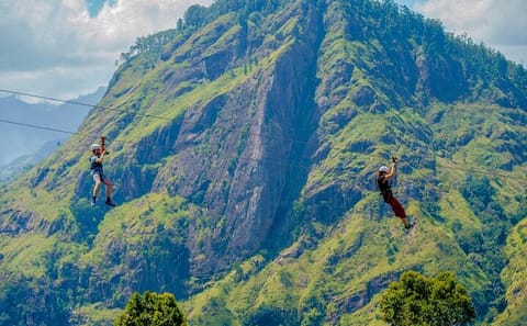 Zip Lining Adventure Over Ella's Scenic Landscapes