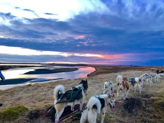 Dog Sledding Near Reykjavik , photo 14