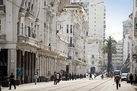 Private Day Trip to Explore Casablanca's Culture & Attractions