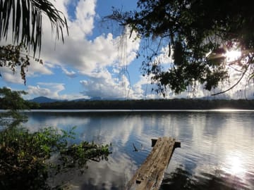 5-Day Jungle and Pampas Adventure in Rurrenabaque, Bolivia