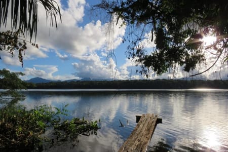 BO-RUR-04: Rurrenabaque | Jungle & Pampas 5D/4N: Exploring the Wild of the Amazon Forest