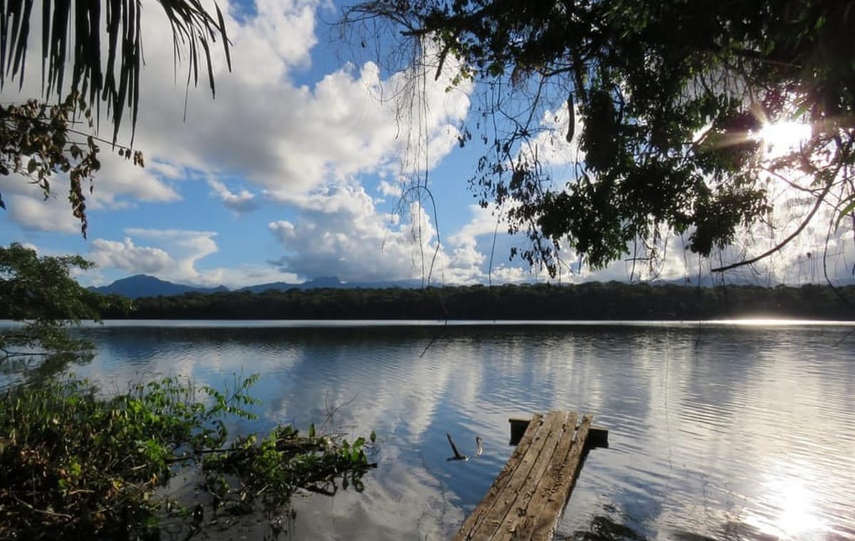 BO-RUR-04: Rurrenabaque | Jungle & Pampas 5D/4N: Exploring the Wild of the Amazon Forest