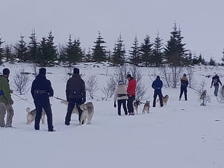 Hiking with Husky in Akureyri (private), photo 8