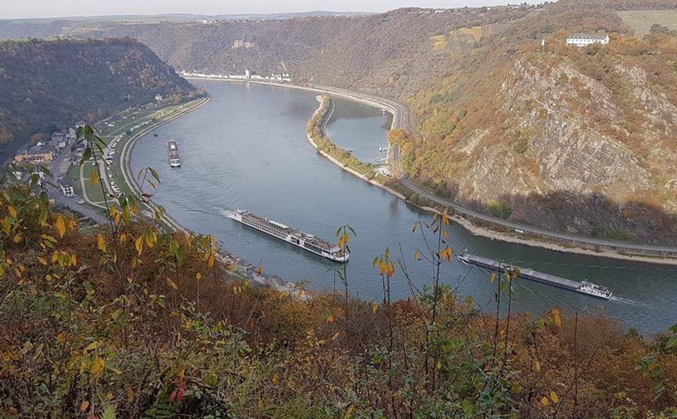 Half-Day Tour from Frankfurt to Rüdesheim am Rhein