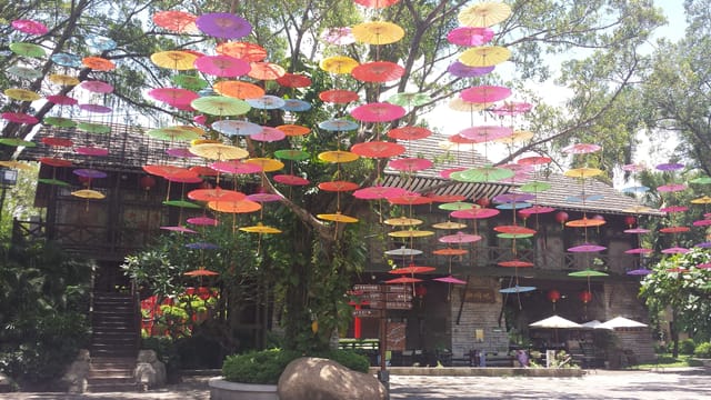 Private Tour of China Folk Culture Village & Dafen Village