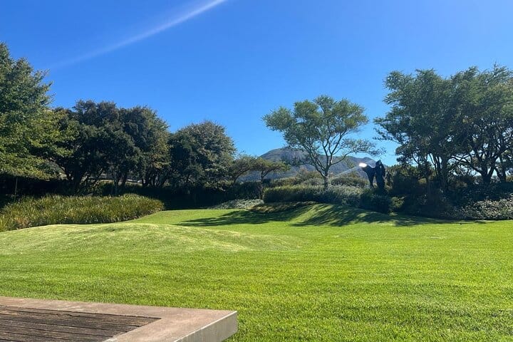 Cape Town Half-Day Tandem Paragliding and Wine Tasting Tour